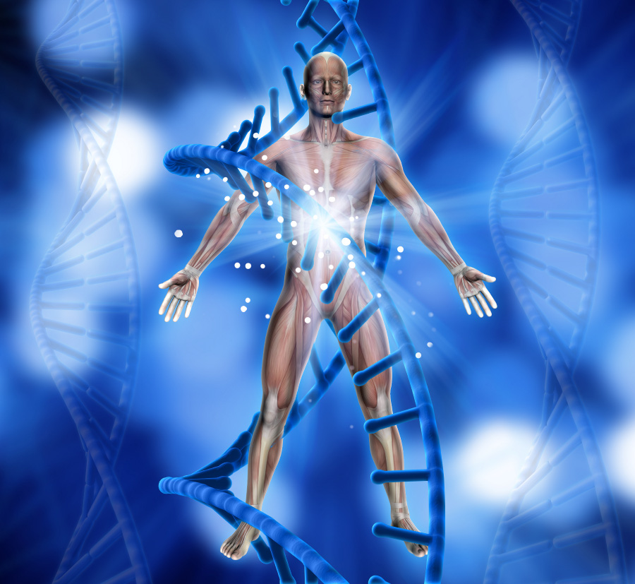 3d-render-medical-background-with-male-figure-900