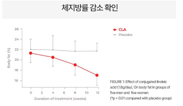 푸응 팻버닝 체지방 감소 다이어트 효과 결과