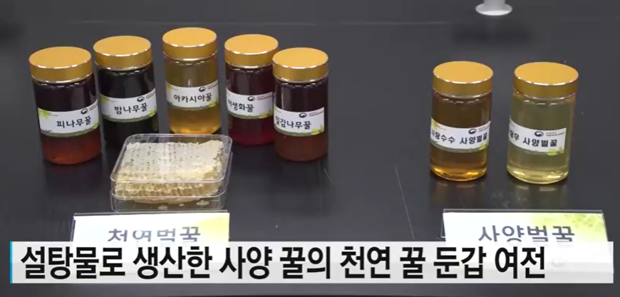 : 당뇨병의 경우 설탕 대신 꿀, 천연꿀과 사양꿀의 차이, 꿀효능 1