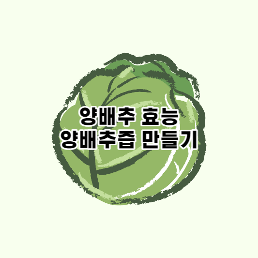  양배추의 효능, 양배추즙 맛있게 만드는 방법