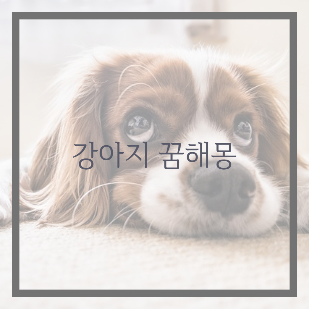강아지 꿈해몽