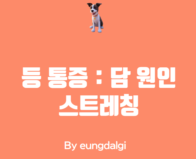  등 담 푸는 법: 쉽게 따라하는 스트레칭 가이드
