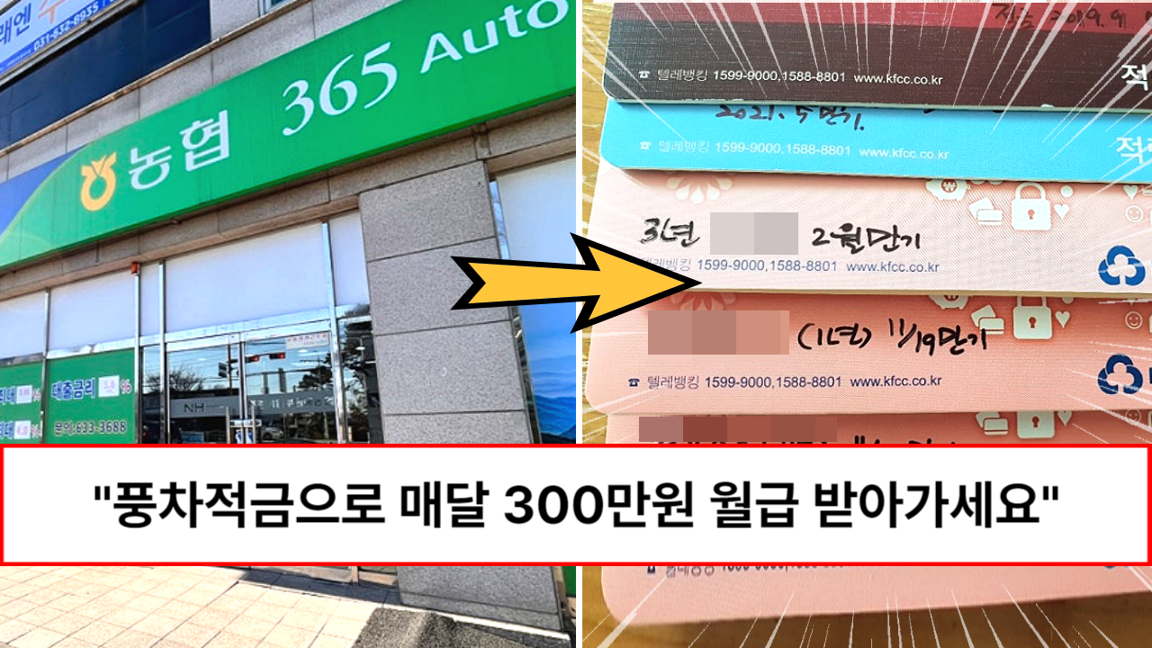 “적금은 이렇게 하는 겁니다”30년차 은행원이 알려주는 안정적으로 매달 300만원씩 받는 방법