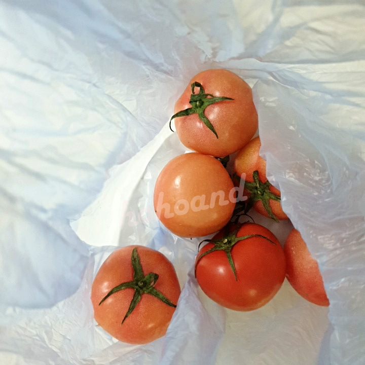 비닐봉지-토마토