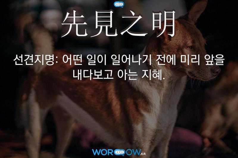  뚜뚜월드
