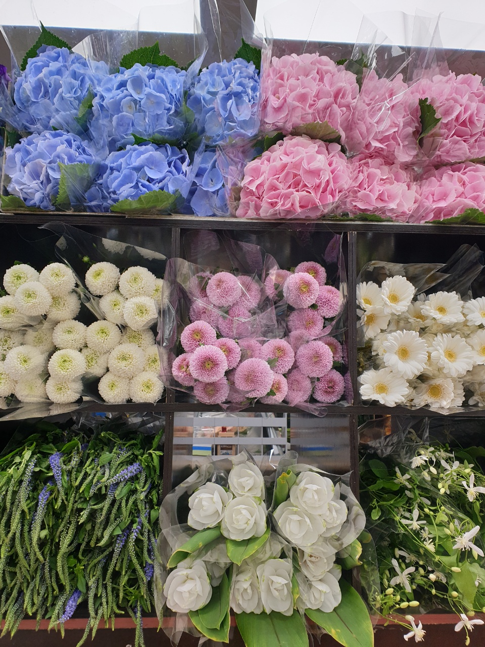  꽃들의 향연