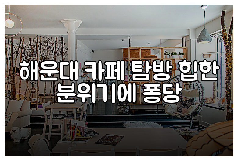 해운대 카페 탐방 힙한 분위기에 퐁당