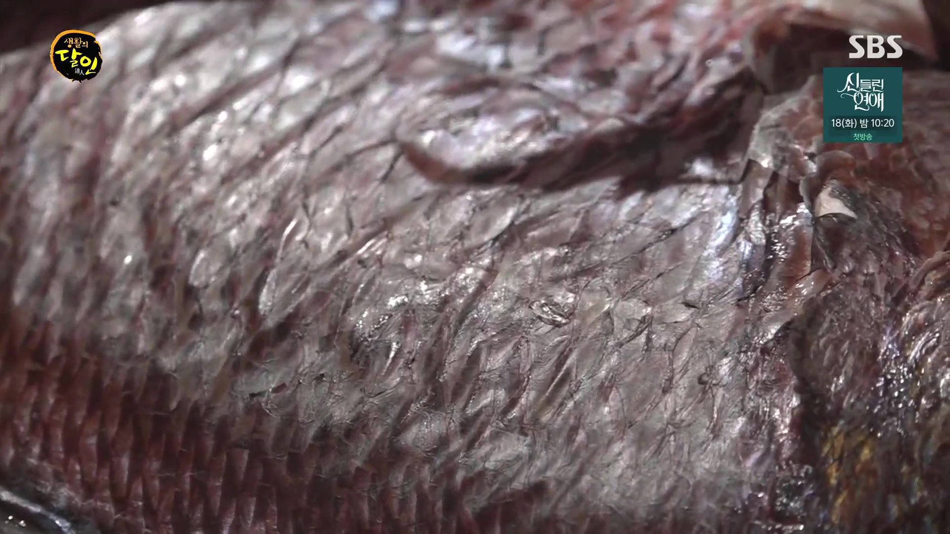 생활의 달인.E939.240610p.H264-F1RST.mp4_20240611_195500.409.jpg