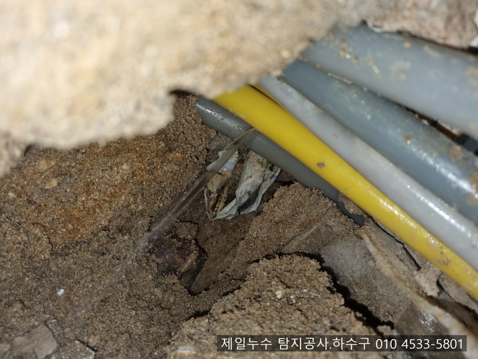  왜관누수 제일누수 탐지공사.하수구 칠곡군 왜관읍 석전리 1층 다세대 주택 누수현장