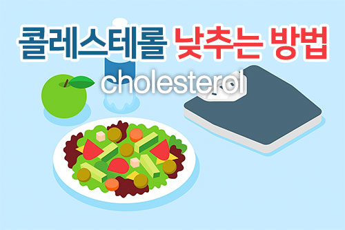 콜레스테롤 낮추는 방법 정상수치