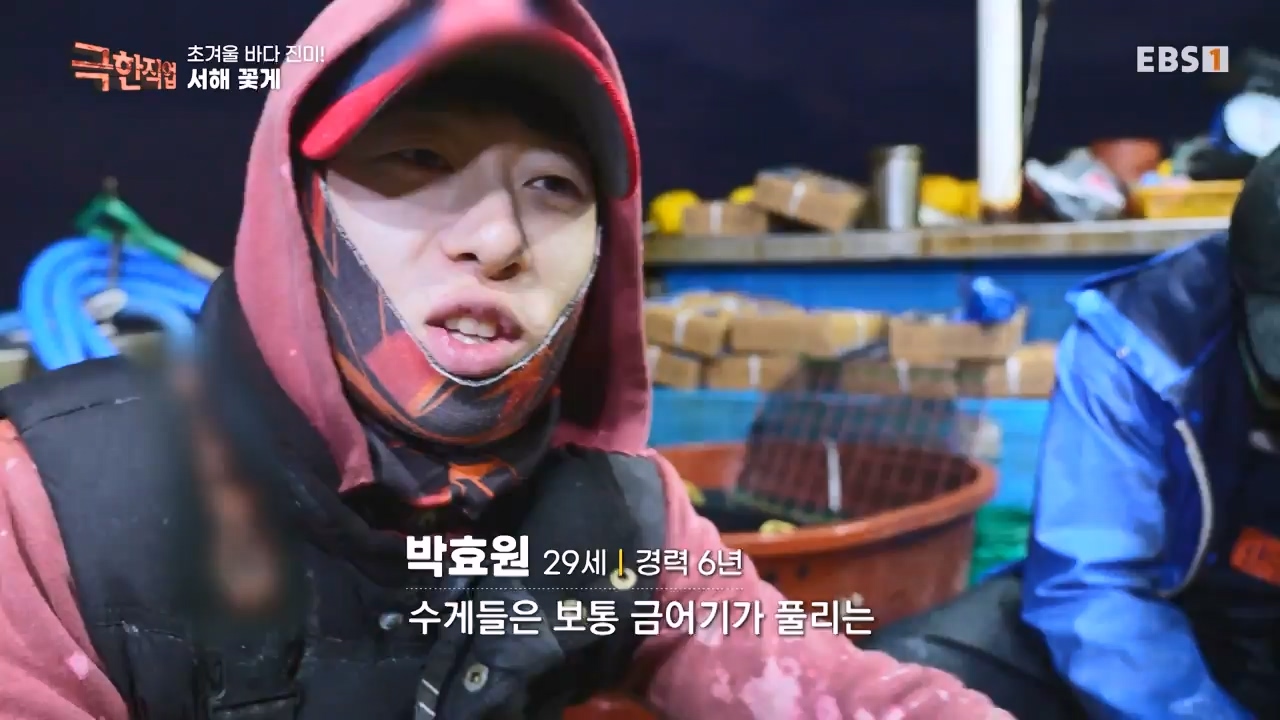 TV - 전 국민의 평생학교 EBS초겨울 바다 진미! 동해 방어, 서해 꽃게.mp4_20231228_204341.437.jpg