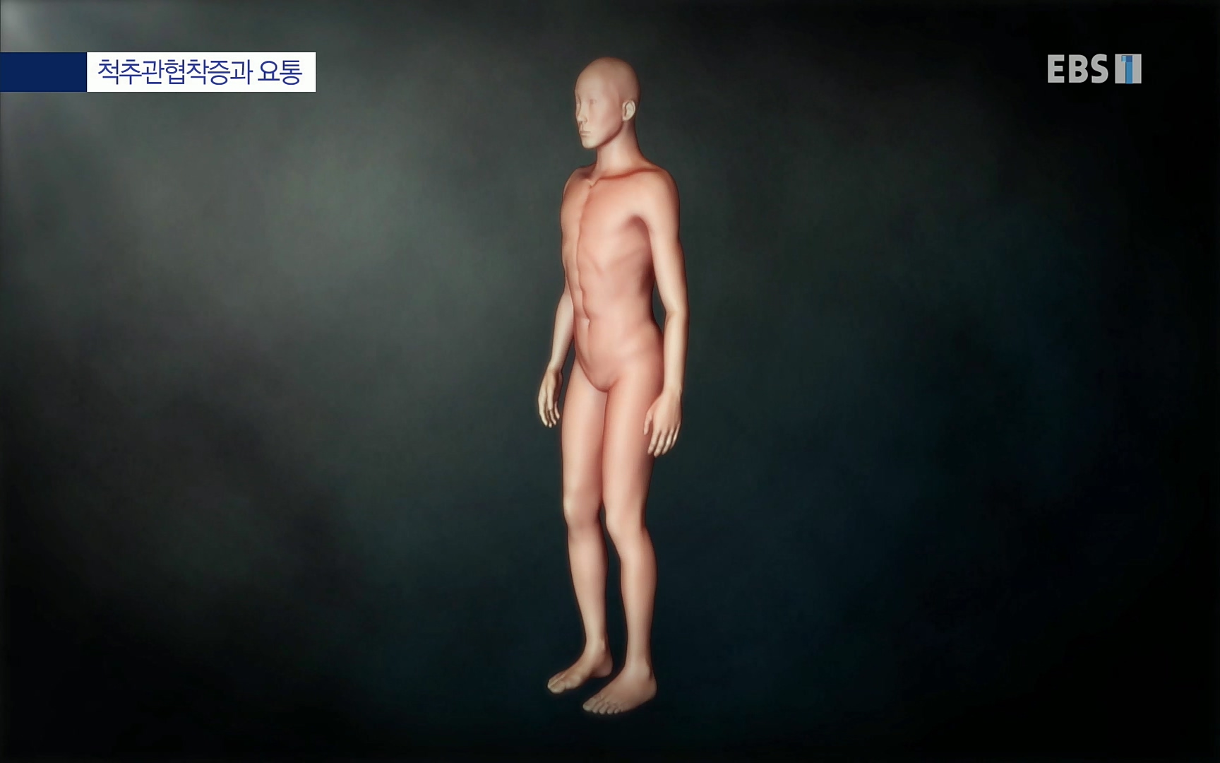 EBS 명의 헬스케어 - TV - 교육의 중심 EBS허리 통증 치료 프로젝트 1부, 수술없이 낫는다 .mp4_20220712_204231.525.jpg