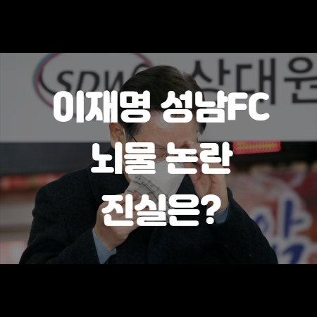 이재명 성남 fc 뇌물