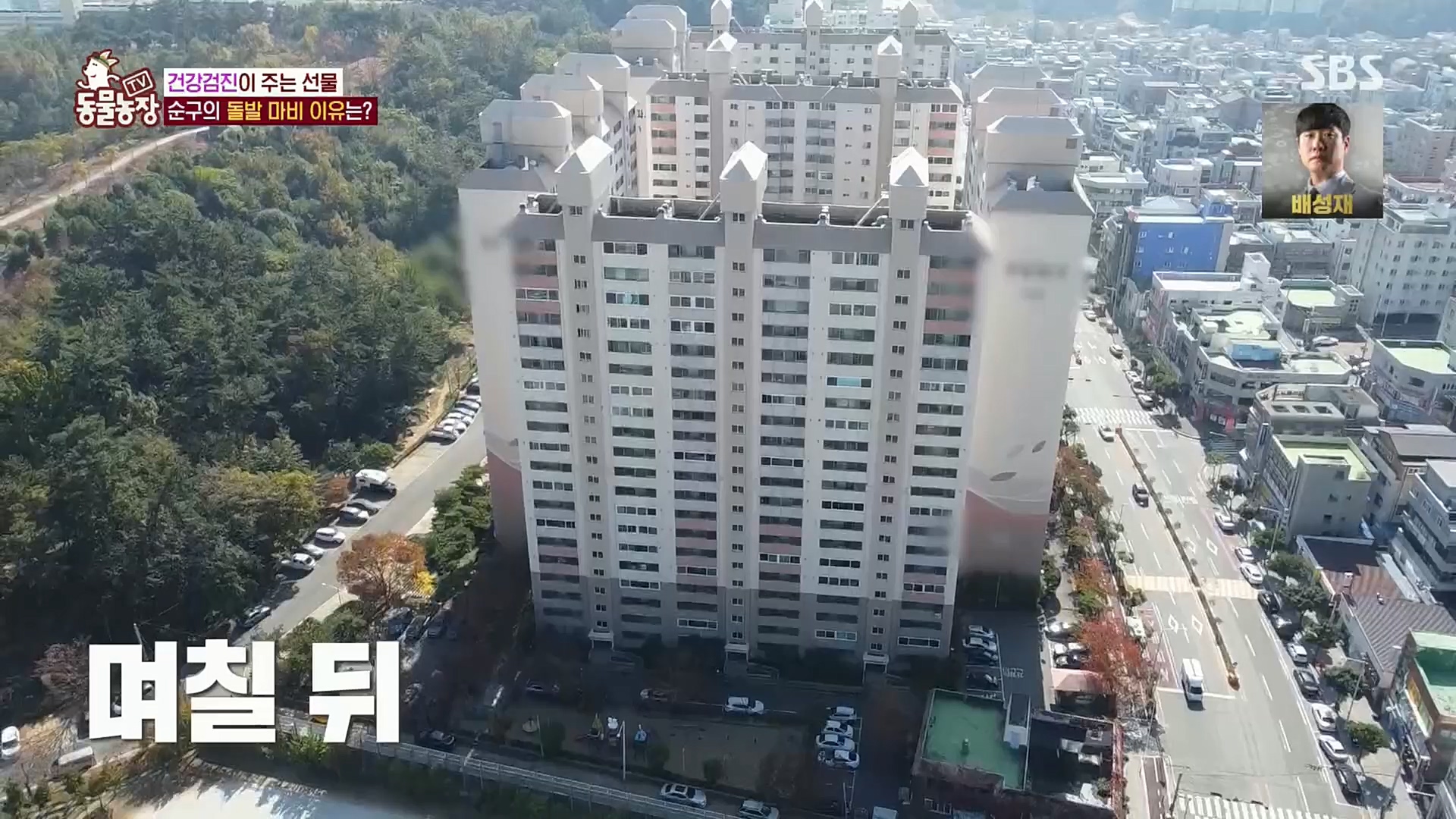 TV 동물농장.E1097.221127p.H264-F1RST.mp4_20221127_181704.539.jpg
