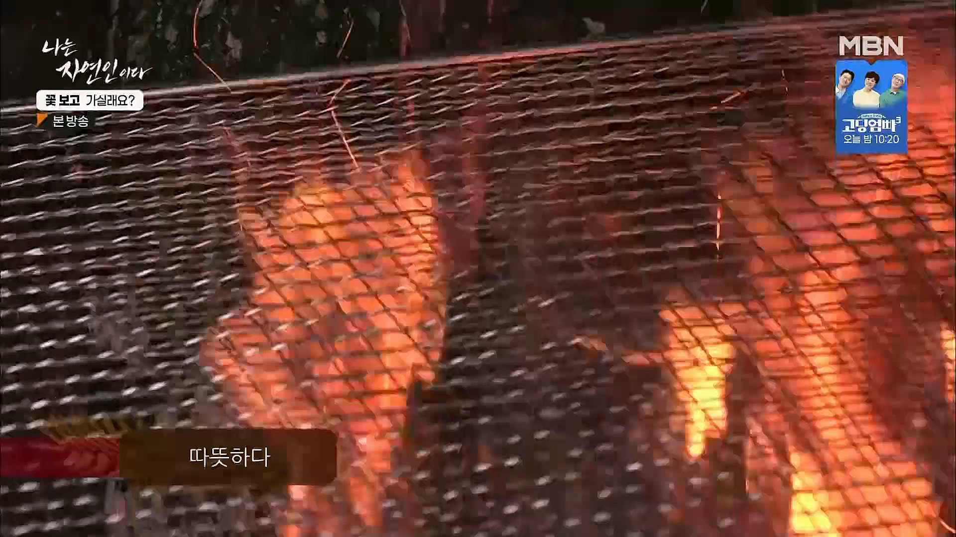 나는 자연인이다.E545.230315p.H264-F1RST.mp4_20230316_212114.351.jpg