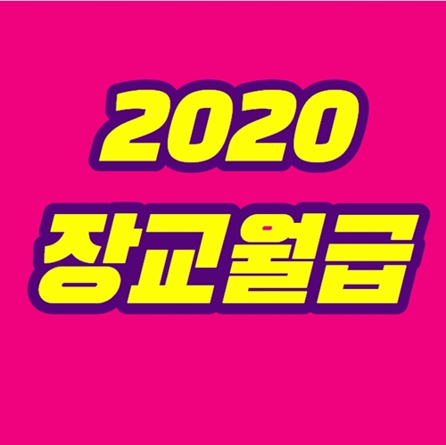  2020 장교 월급 장성급 연봉 대정리