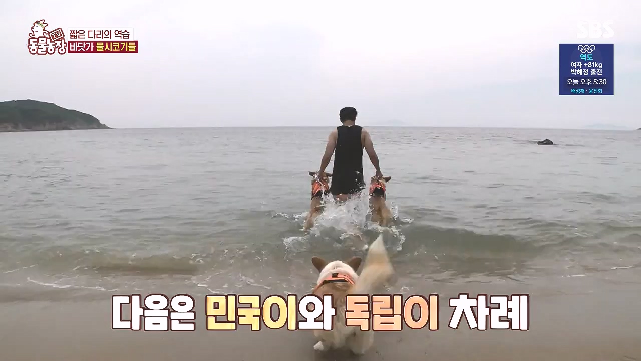TV 동물농장.E1184.240812p-NEXT.mp4_20240811_172459.133.jpg