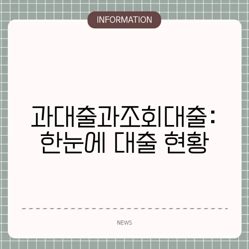 과대출과조회대출: 한눈에 대출 현황