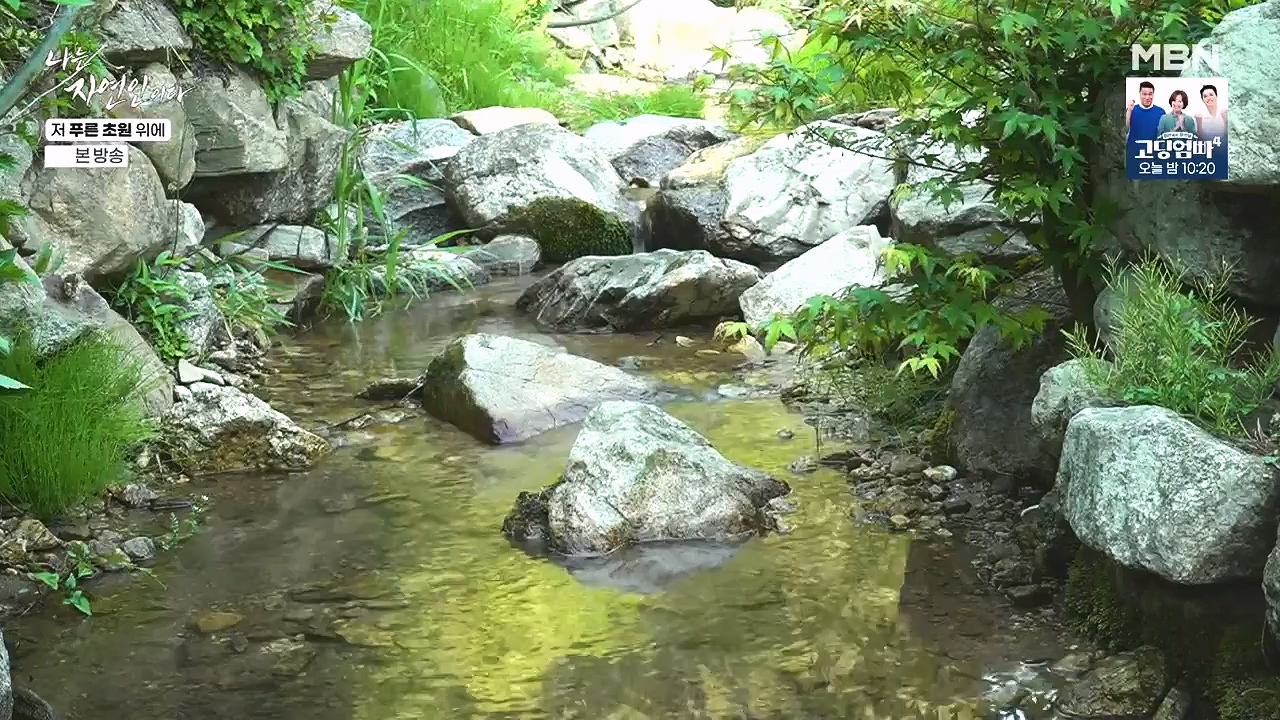 나는 자연인이다.E607.240530p-NEXT.mp4_20240530_200524.417.jpg