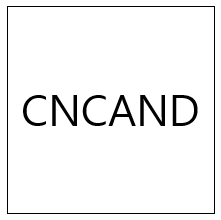  CNCAND - 배송 정보 확인