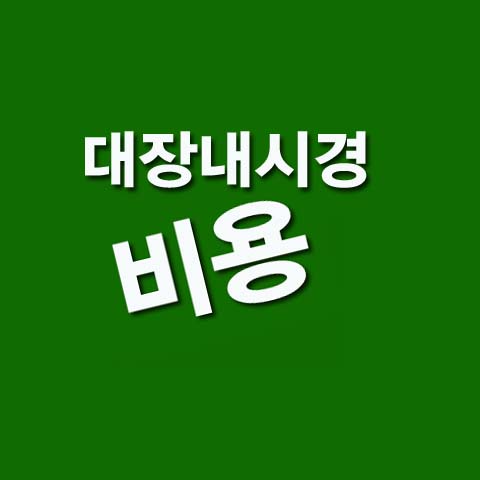  대장내시경 비용
