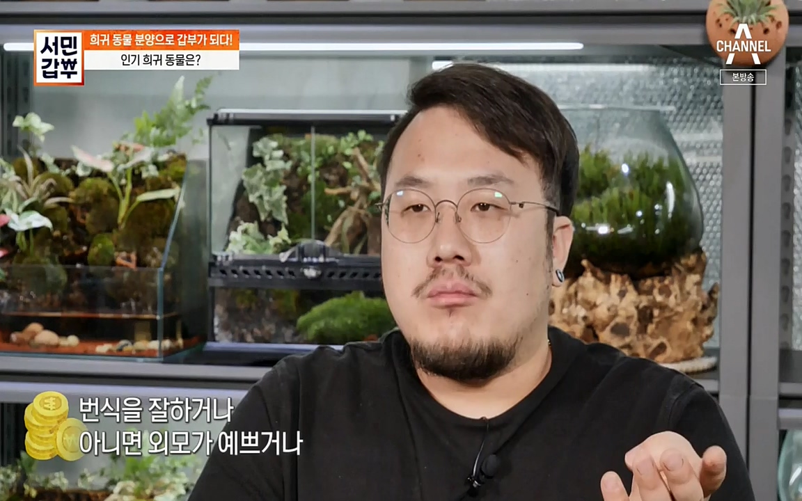 서민 갑부.E381.220431p-NEXT.mp4_20220501_180707.868.jpg