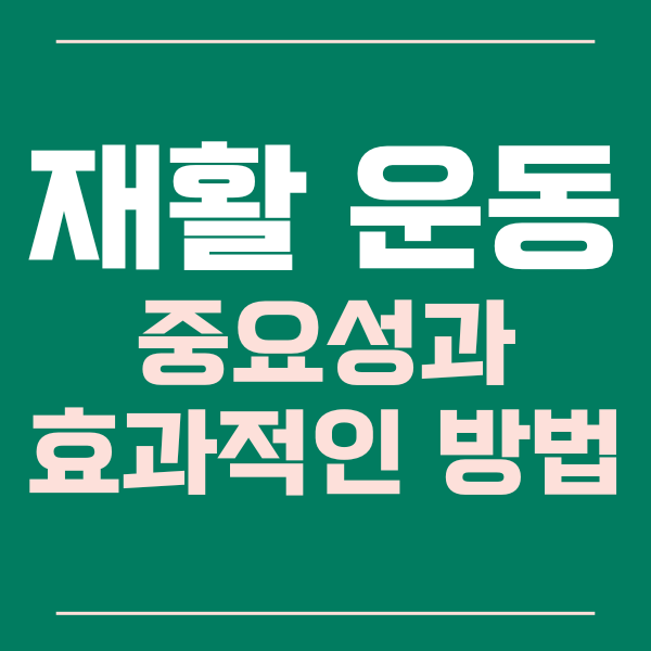  재활 운동의 중요성과 효과적인 방법 알아보기