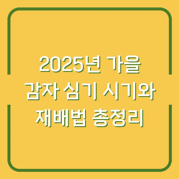 2025년 가을 감자 심기 시기와 재배법 총정리