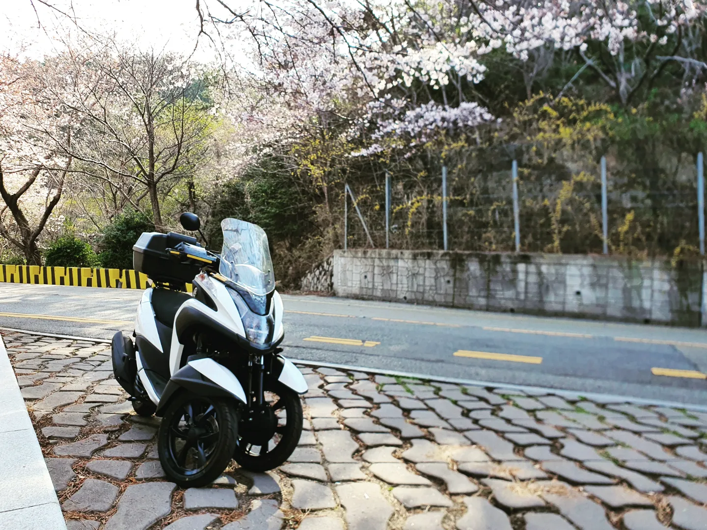 흰색 오토바이가 주차되어 있는 사진