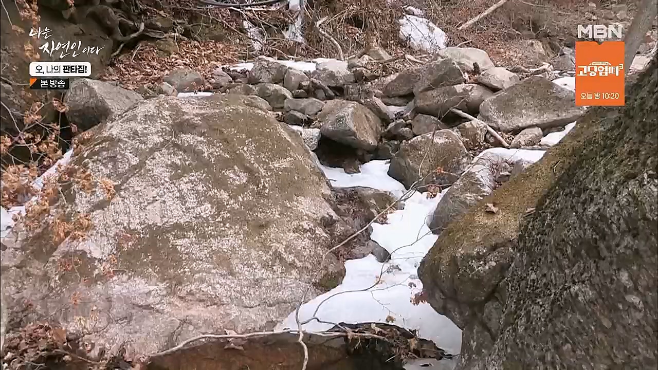 나는 자연인이다.E546.230323p.H264-F1RST.mp4_20230323_201529.821.jpg