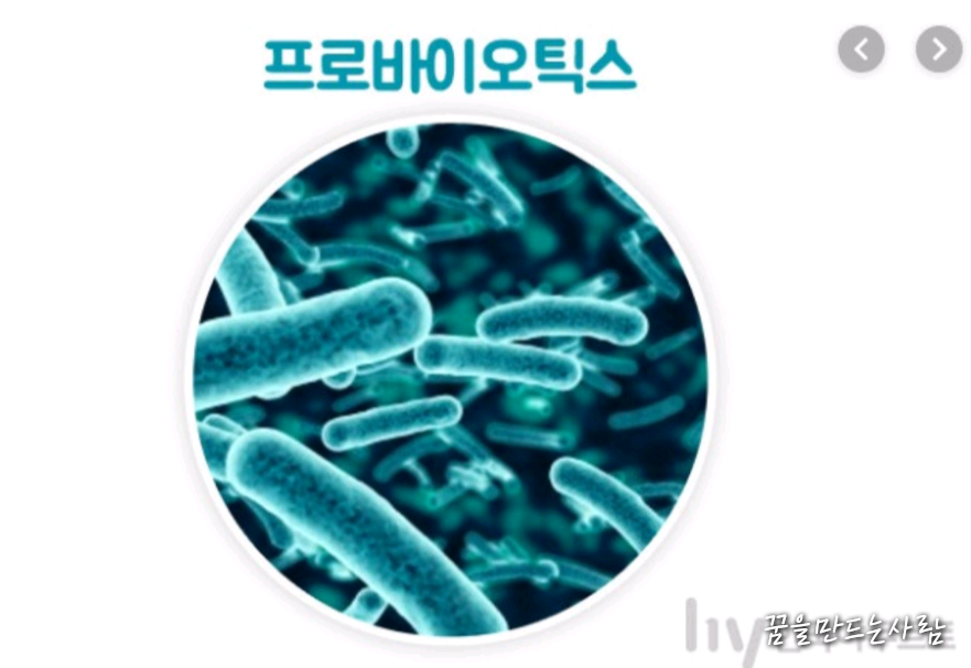  포스트바이오틱스 효능 및  종류 복용법 정리