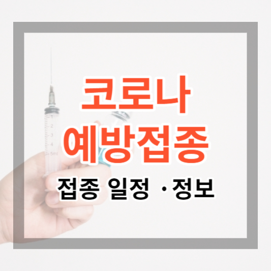  코로나 19 예방접종 (코로나 백신) 일정 및 정보 총정리