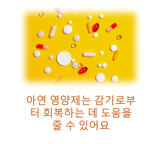 영양제들 사진