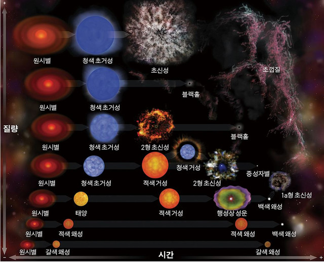 백합화원 이미지