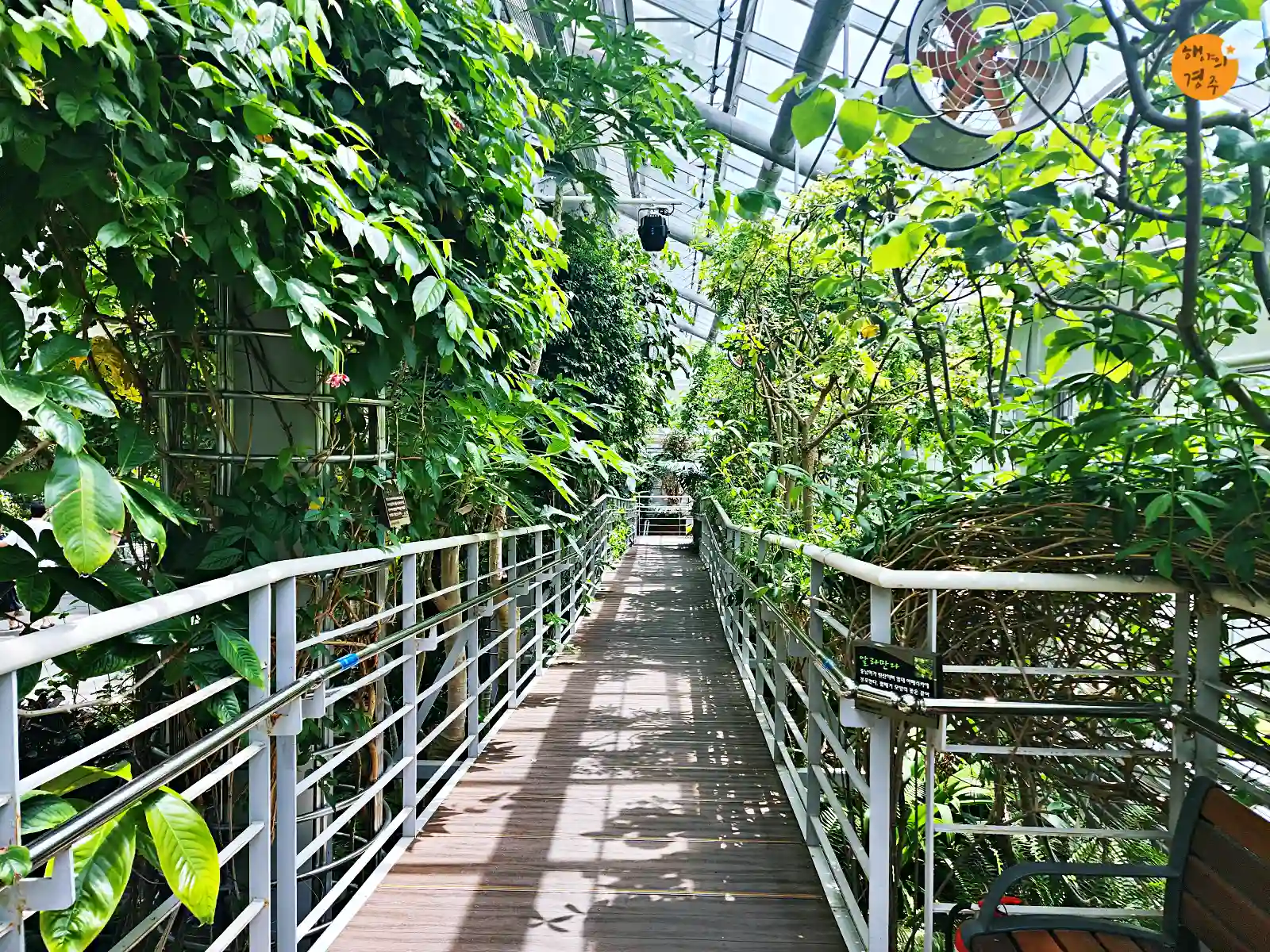 식물원-내부