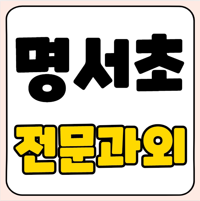  명서동 초등 영어과외 명서초 국어과외 초등학생 수학 전과목 개인 일대일 선행 복습