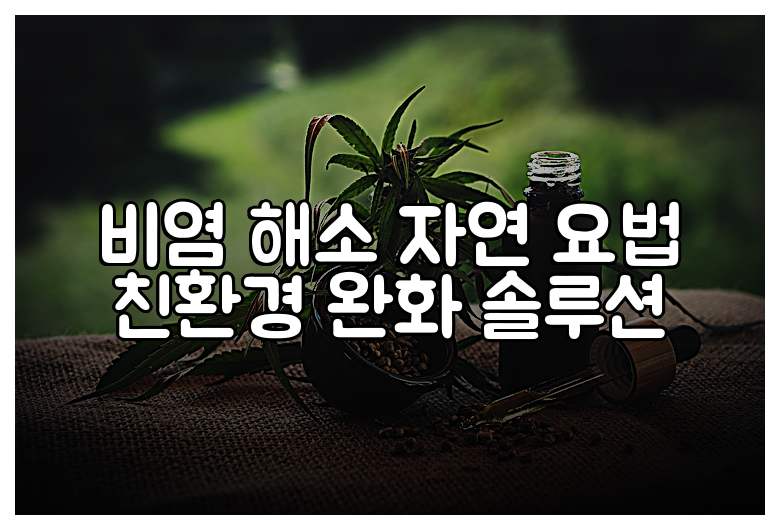 비염 해소 자연 요법 친환경 완화 솔루션