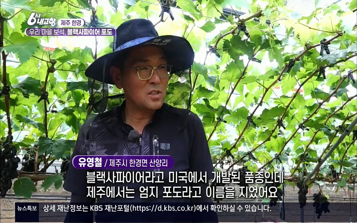 6시 내고향.E7602.220824p.H264-F1RST.mp4_20220825_164529.861.jpg