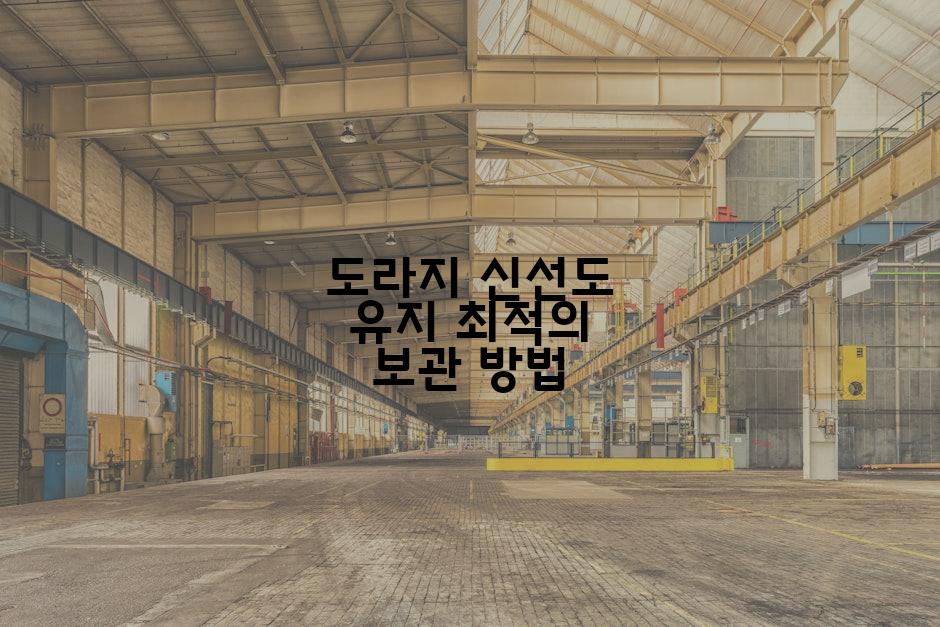 도라지 신선도 유지 최적의 보관 방법