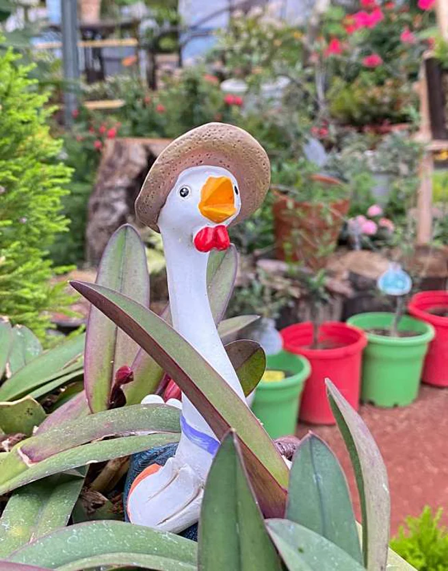 등대식물원