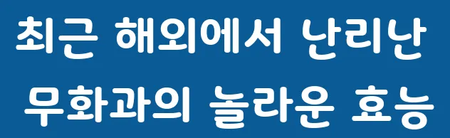 최근 해외에서 난리난 무화과의 놀라운 효능