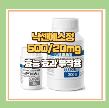 낙센에스정 500/20mg 효능