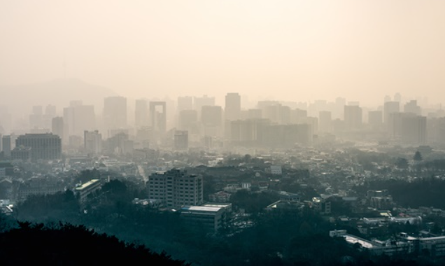 미세먼지로 인한 피해