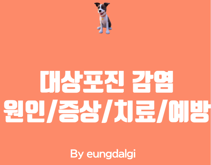  대상포진 감염 - 원인, 증상, 진단, 치료, 예방