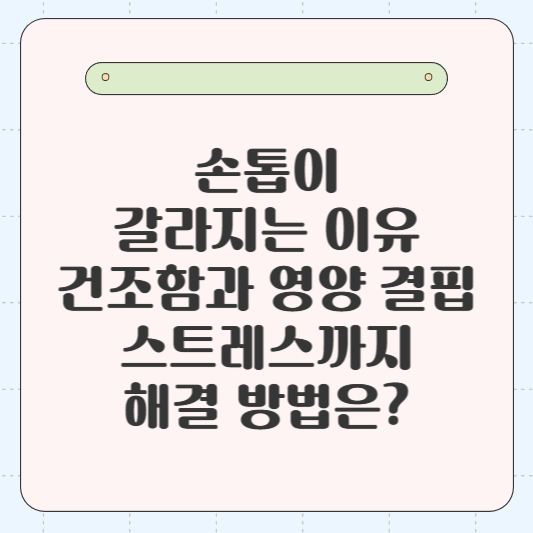 손톱이 갈라지는 이유: 건조함과 영양 결핍부터 스트레스까지, 해결 방법은?