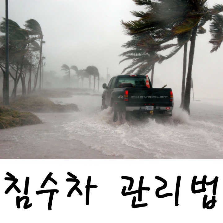  자동차 침수 당했을시 대처법