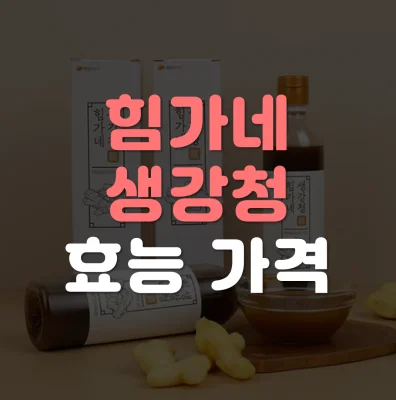 힘가네-생강청-효능