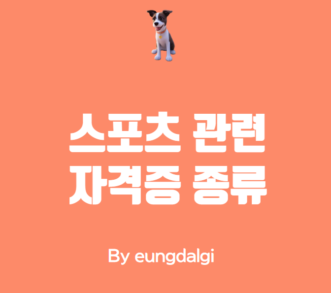  스포츠 관련 자격증 종류