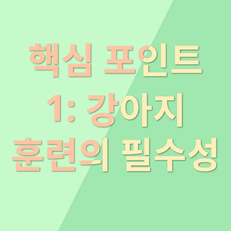 강아지훈련 자격증_1
