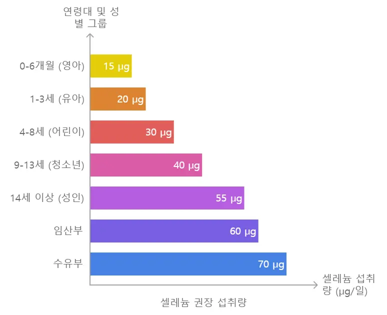 연령별 셀레늄 권장 섭취량